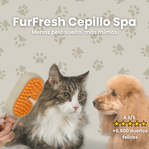 🐾 Cepillo FurFresh con Niebla Refrescante – Menos Pelo, Más Mimos